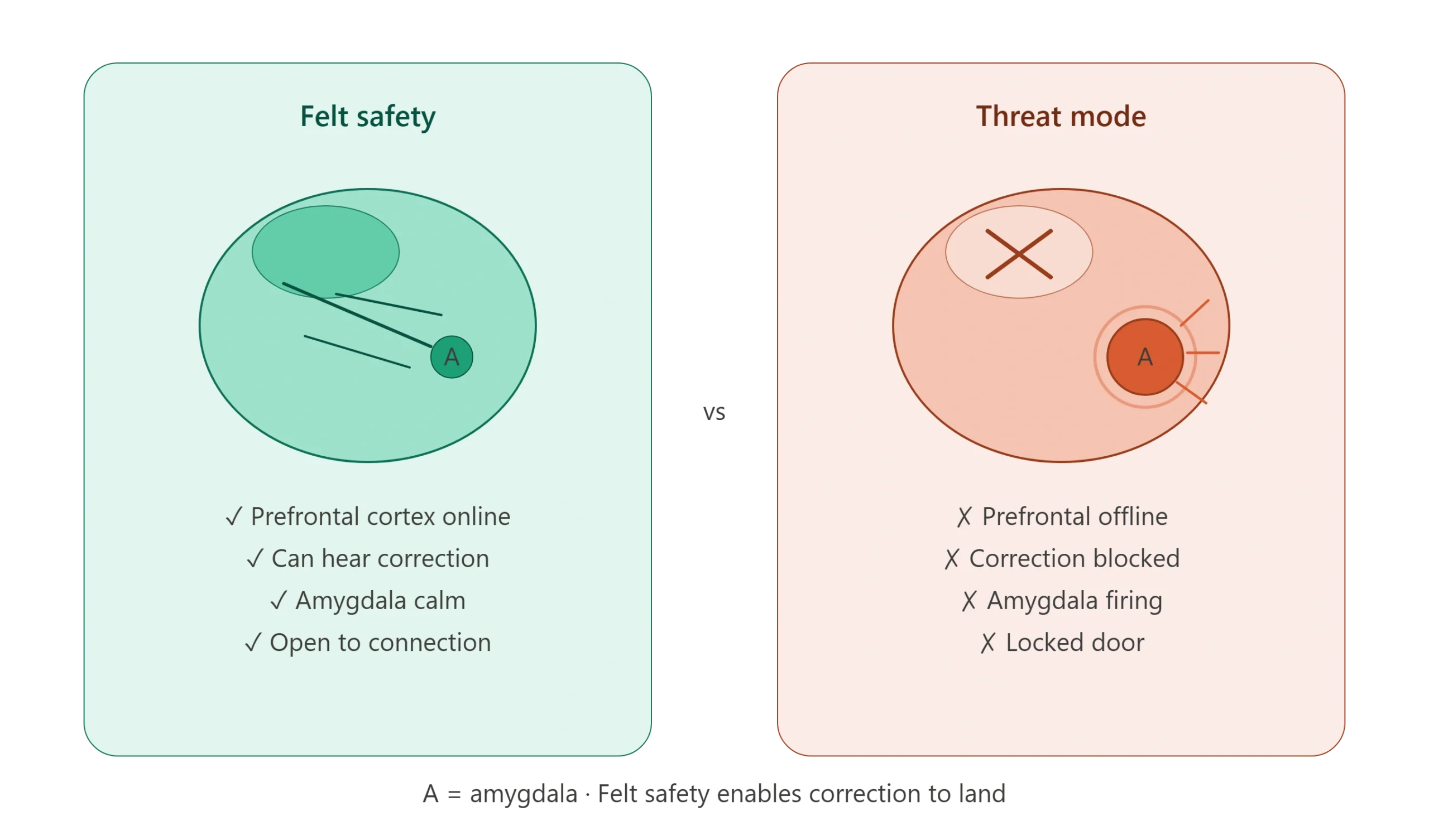 Connected vs disconnected child brain state — showing how felt safety affects ability to receive correction