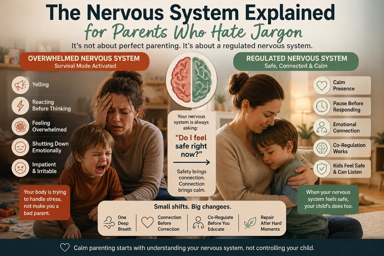 The Nervous System Explained for Parents Who Hate Jargon